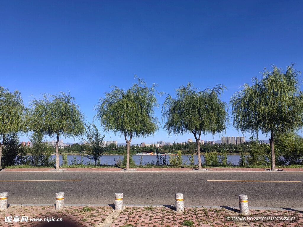 道路旁綠樹成蔭的風(fēng)景