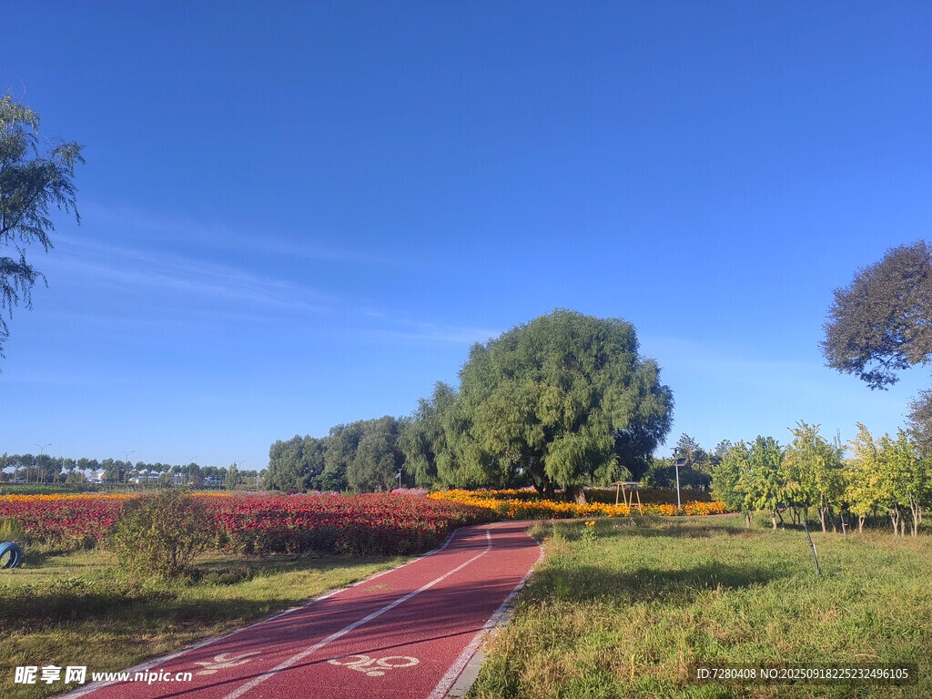 秋日戶外紅色跑道美景