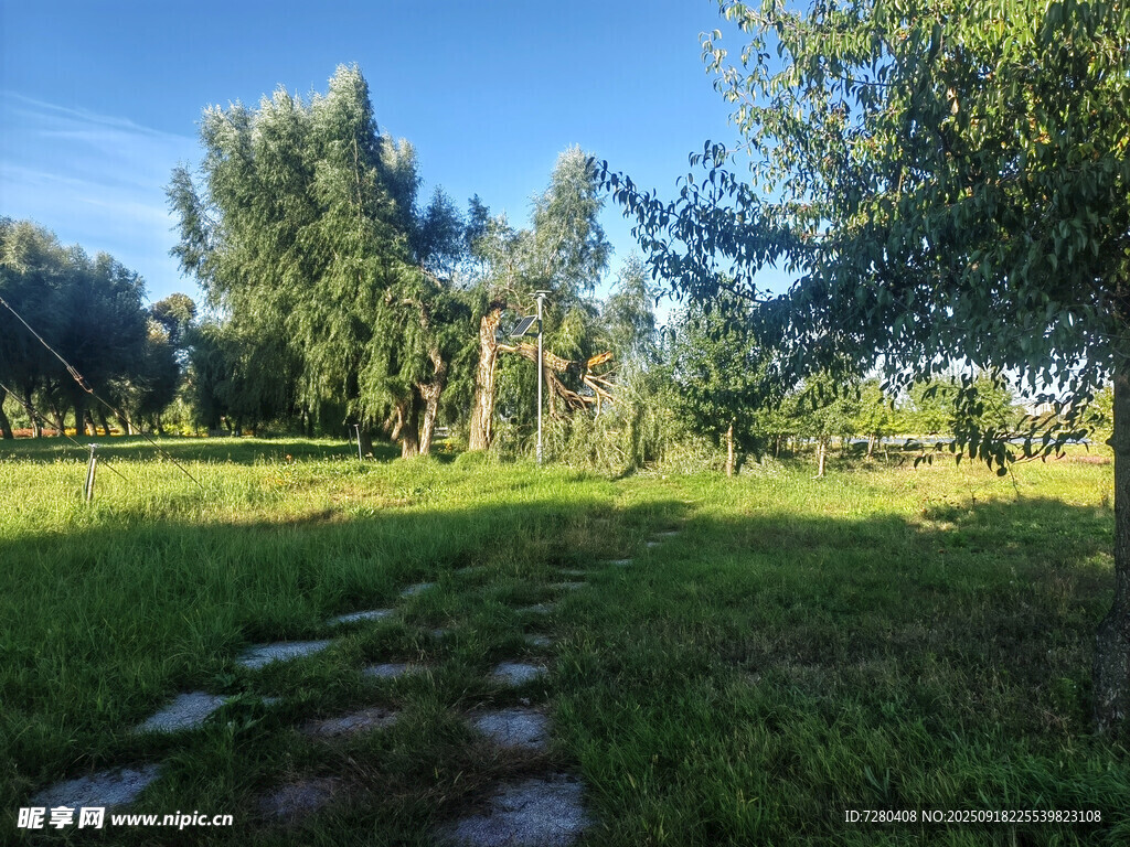 夏日草地林間小路風(fēng)景