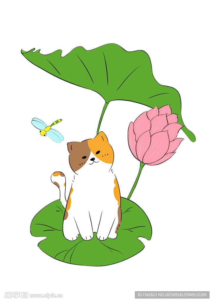 貓