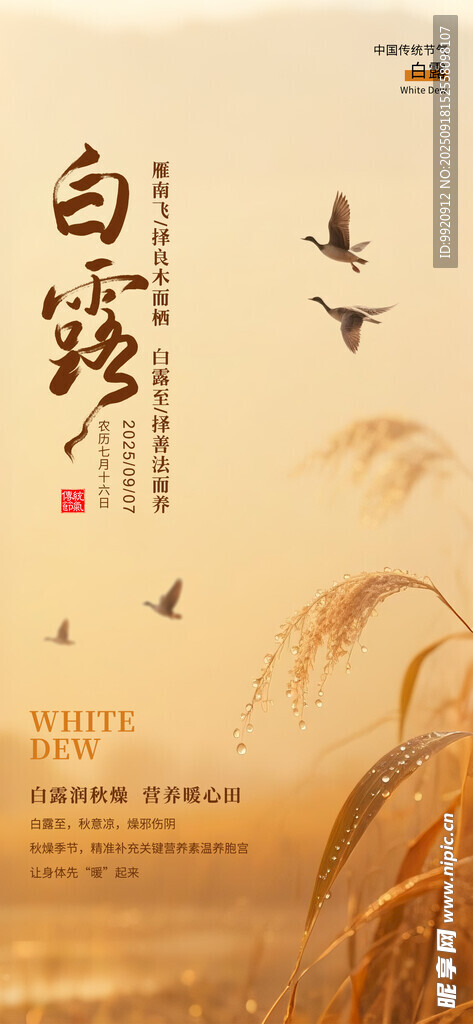 白露節(jié)氣
