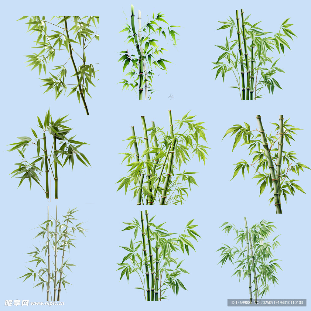 多樣翠竹素材集