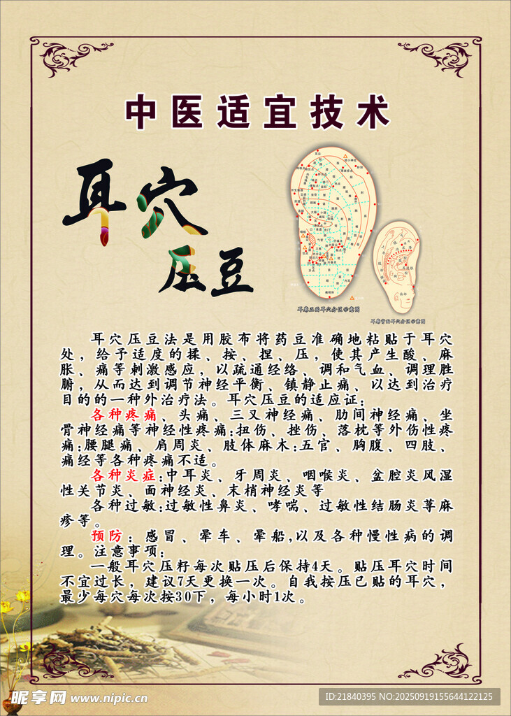 中醫(yī)耳穴速查技術(shù)介紹