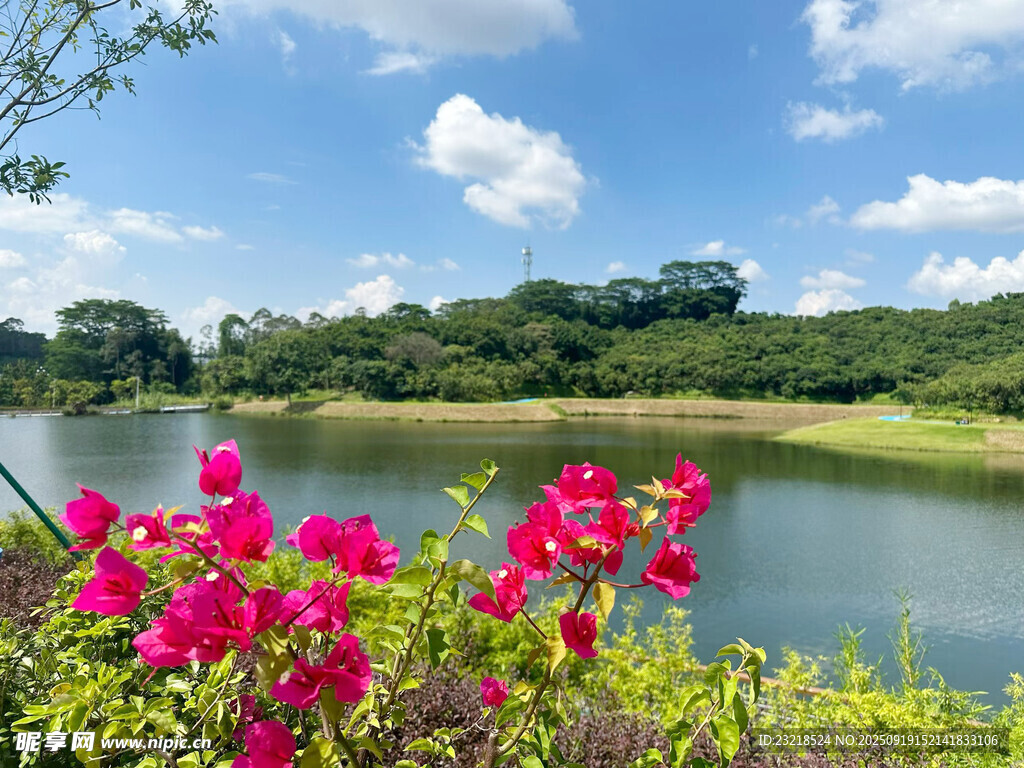 清山綠水