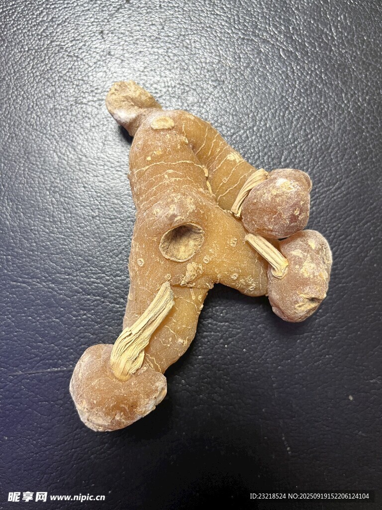 黃精