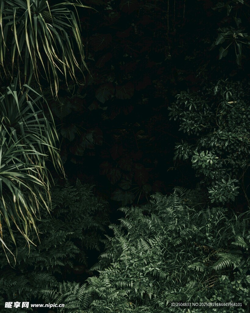 夜間繁茂綠植景觀