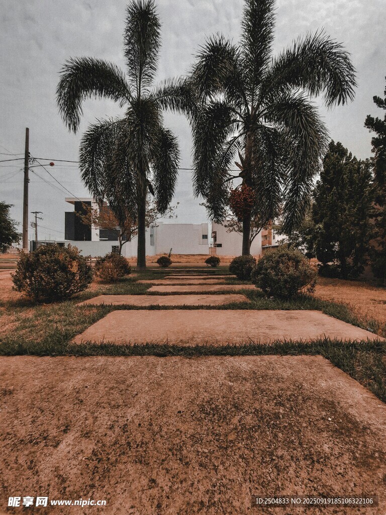 熱帶風(fēng)情庭院景觀