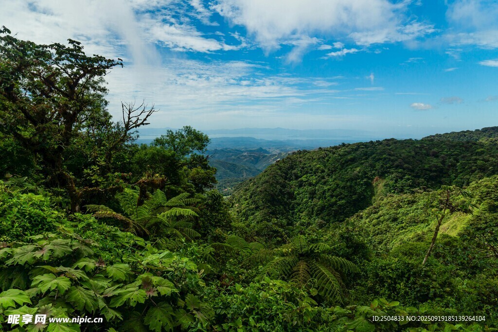 山林綠野間的壯闊自然景觀