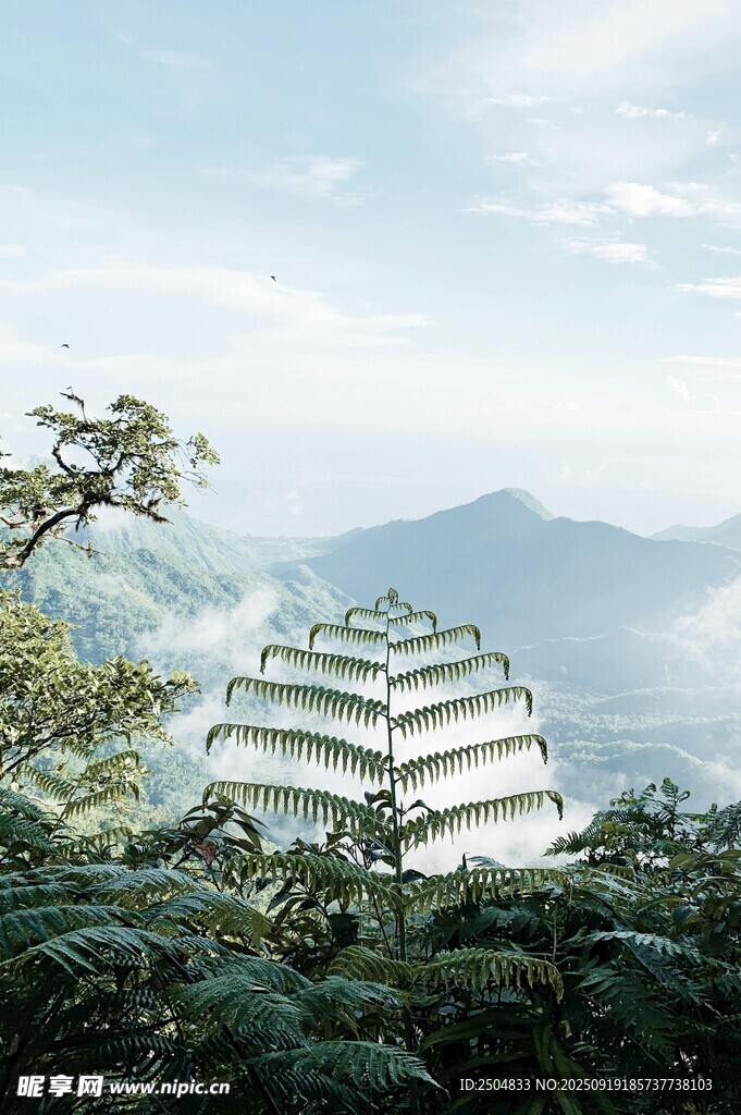 山林中的多層古建筑景觀(guān)