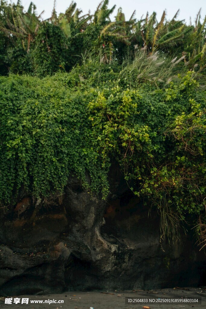 河岸綠植覆蓋的巖石景觀