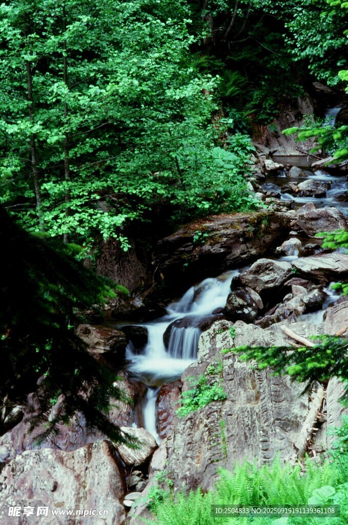 山間溪流瀑布綠意盎然