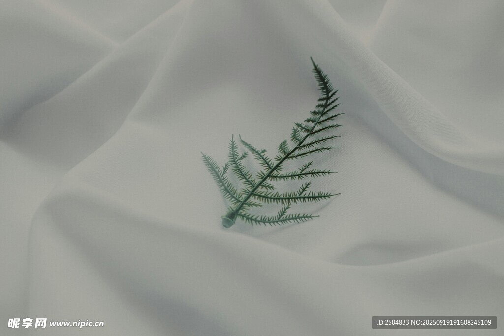 白色布料上的精致蕨類刺繡