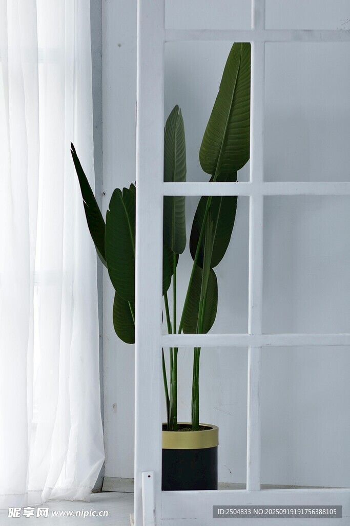 室內(nèi)綠植裝飾白色置物架