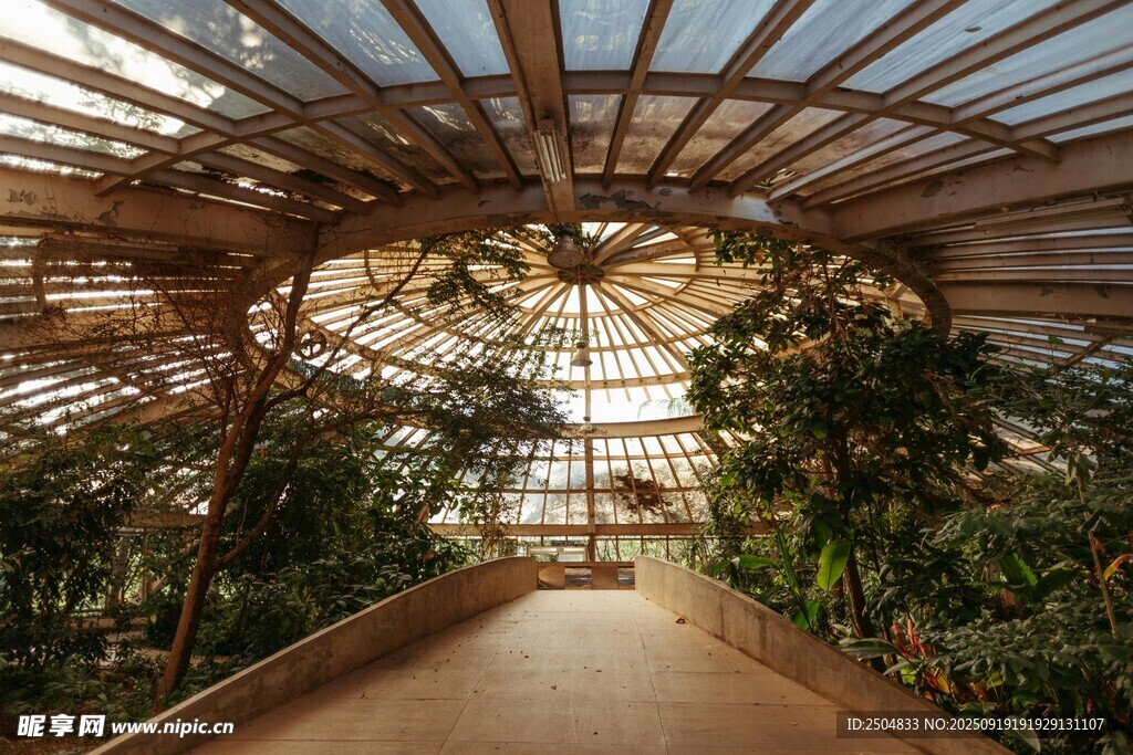 溫室長廊中的綠植景觀