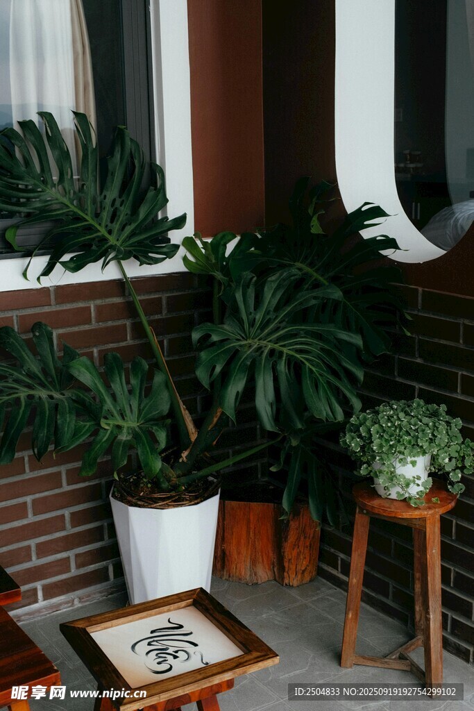 室內(nèi)綠植裝點(diǎn)的愜意角落