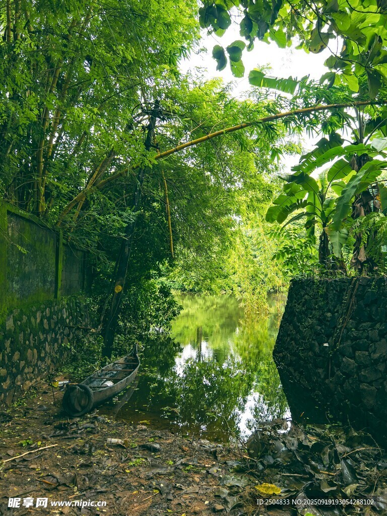 林間靜謐小溪畔景色