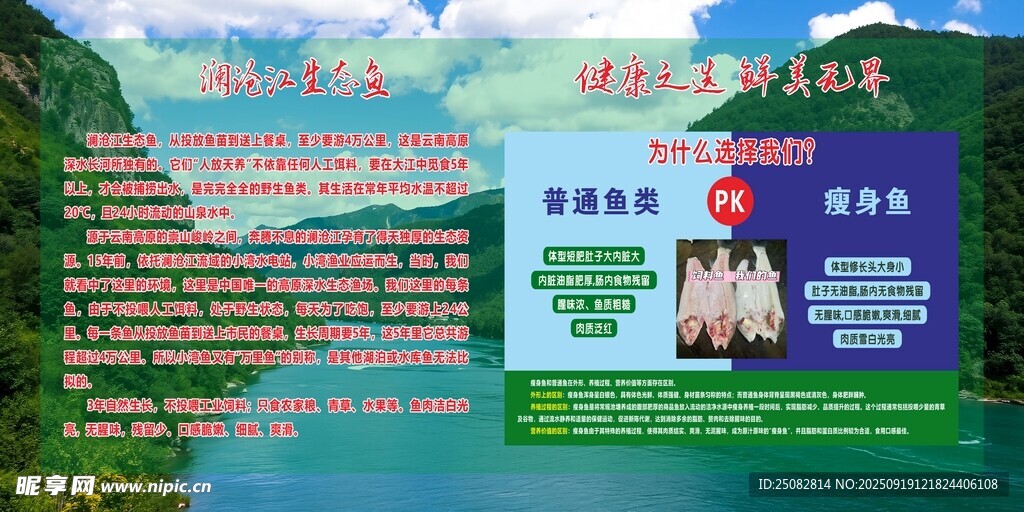山水間文化宣傳展示冷水魚