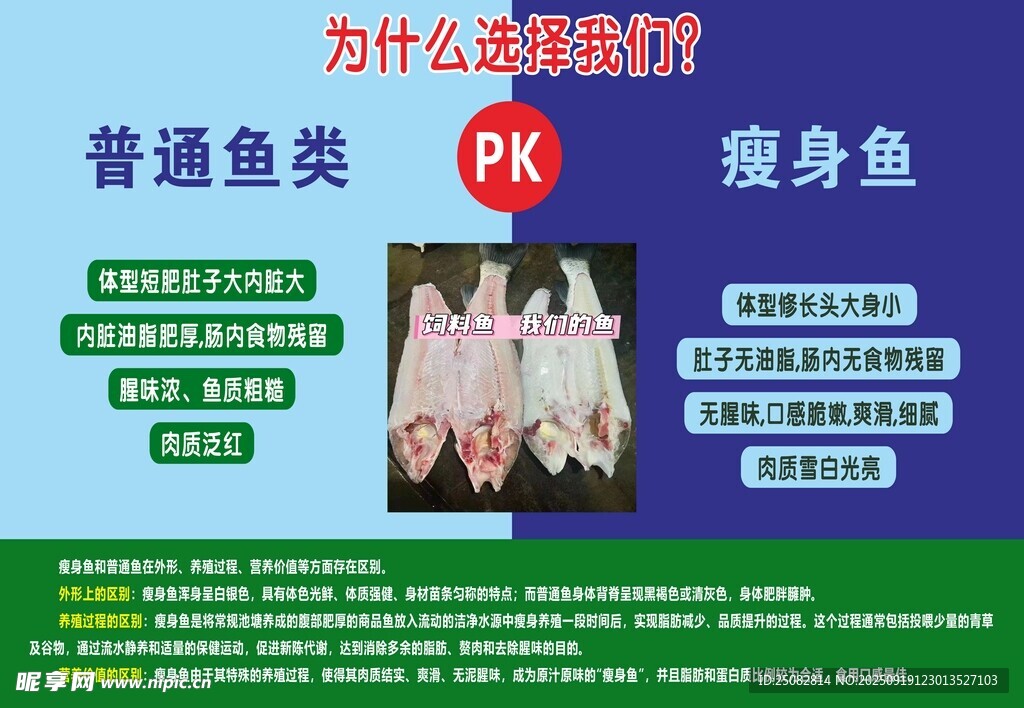 普通魚與瘦身魚對比科普