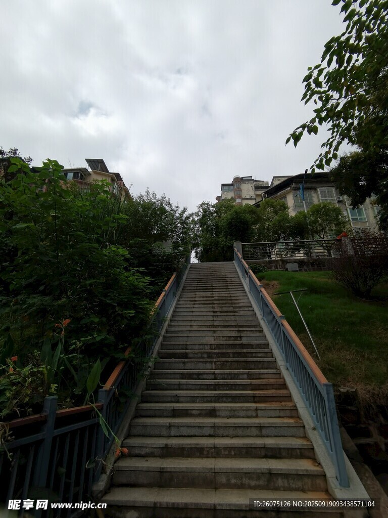 林間石階小路
