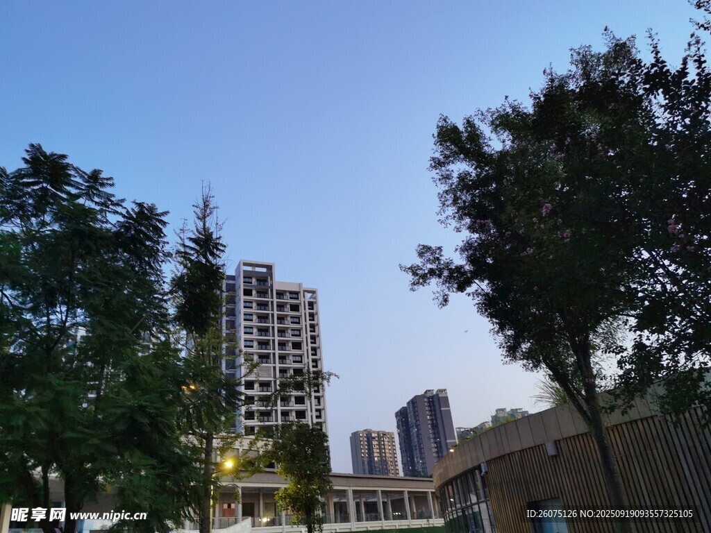 城市中在建高樓與綠樹