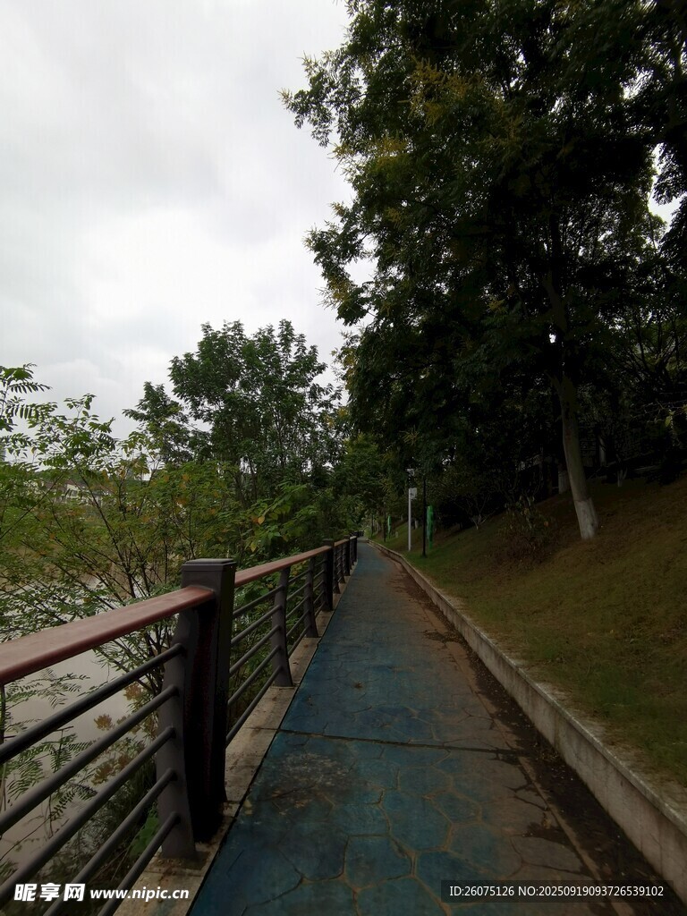 林間河畔的幽靜步道