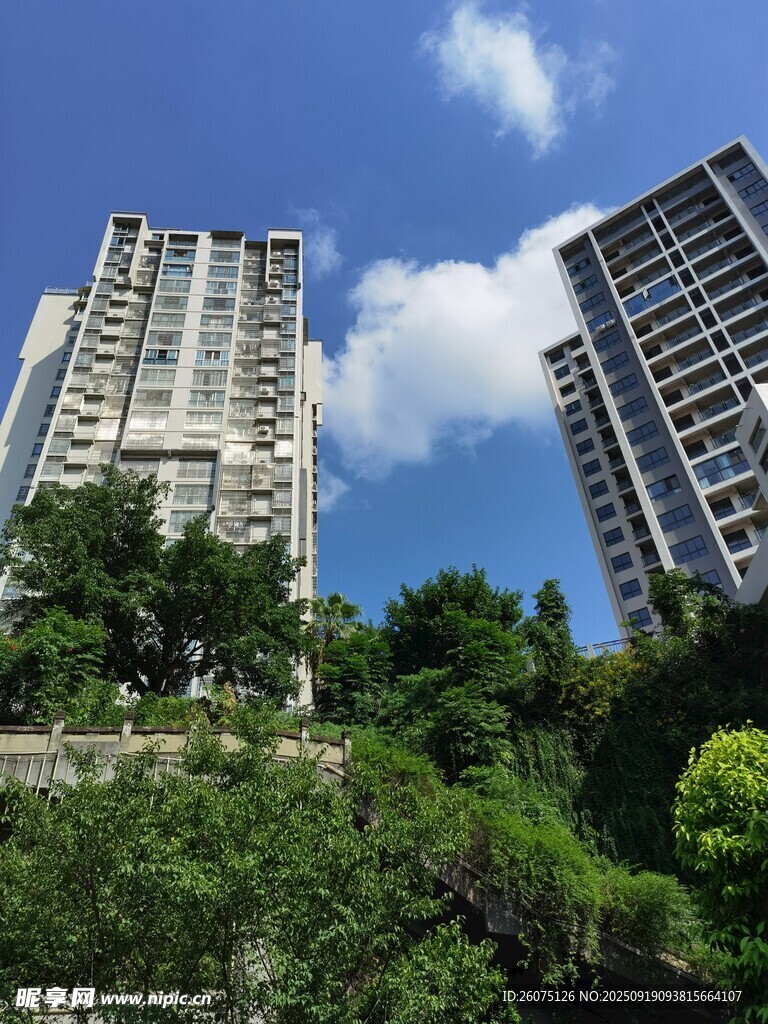 綠樹掩映下的高層住宅