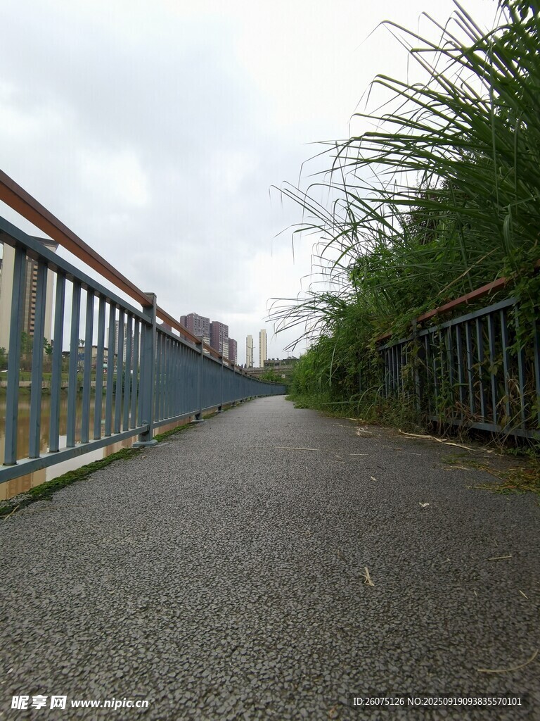 幽靜小路綠植相伴