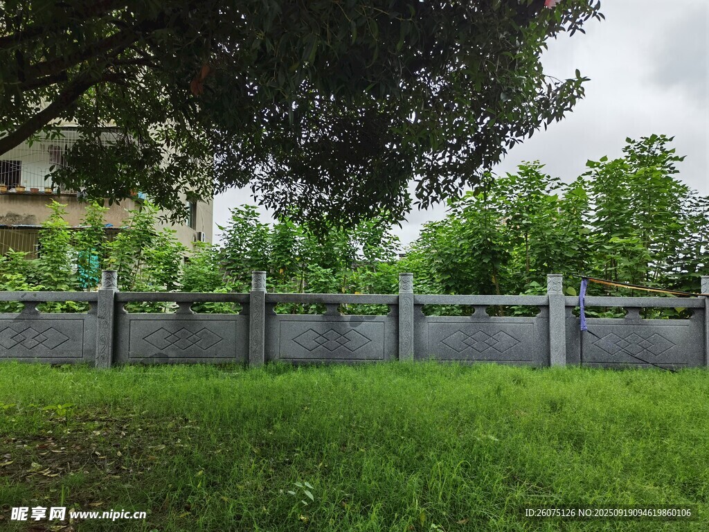 庭院圍欄旁的蔥郁草地