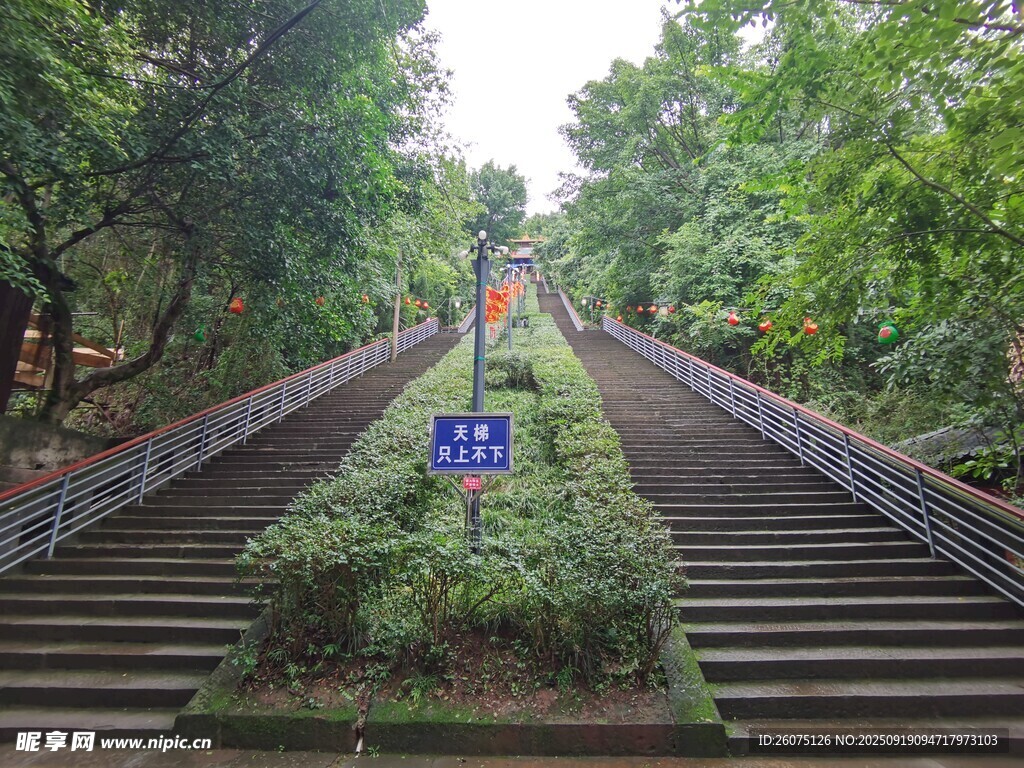 林間石階步道綠意盎然