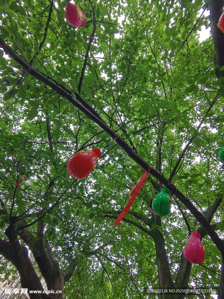 樹(shù)上懸掛的多彩裝飾物件