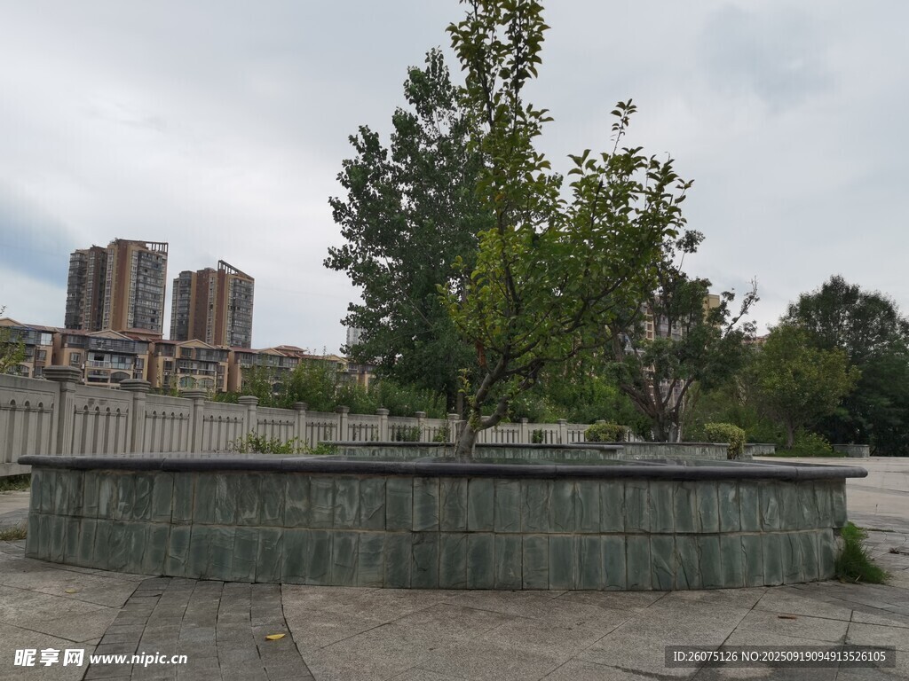 城市中的綠植與建筑景觀