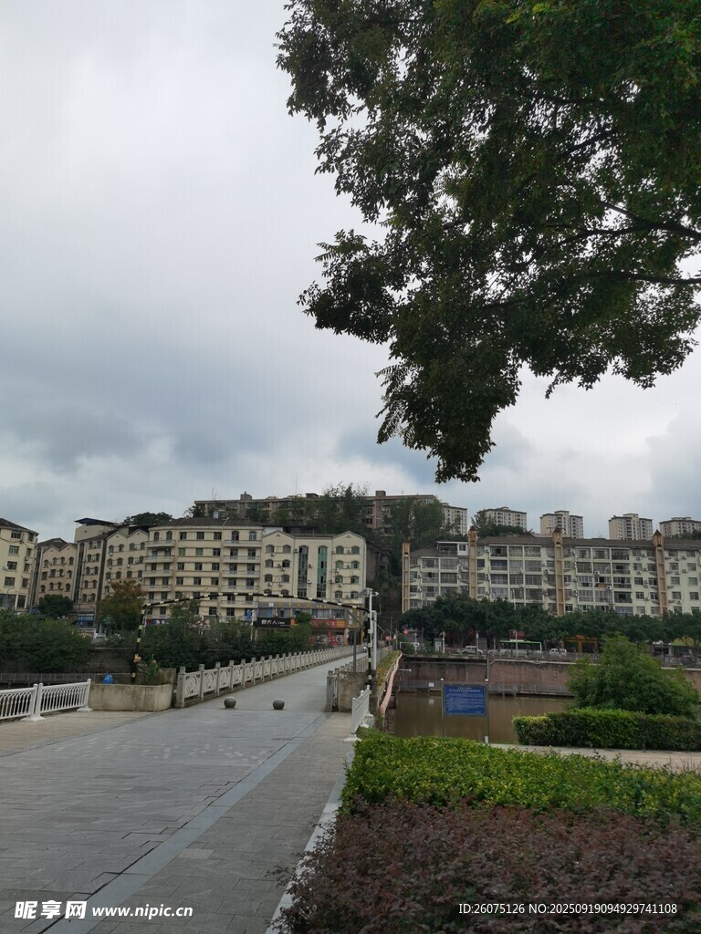 城市景觀中的建筑與綠植