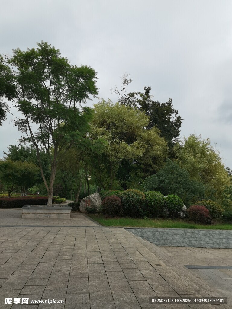 戶外石板廣場與綠植景觀