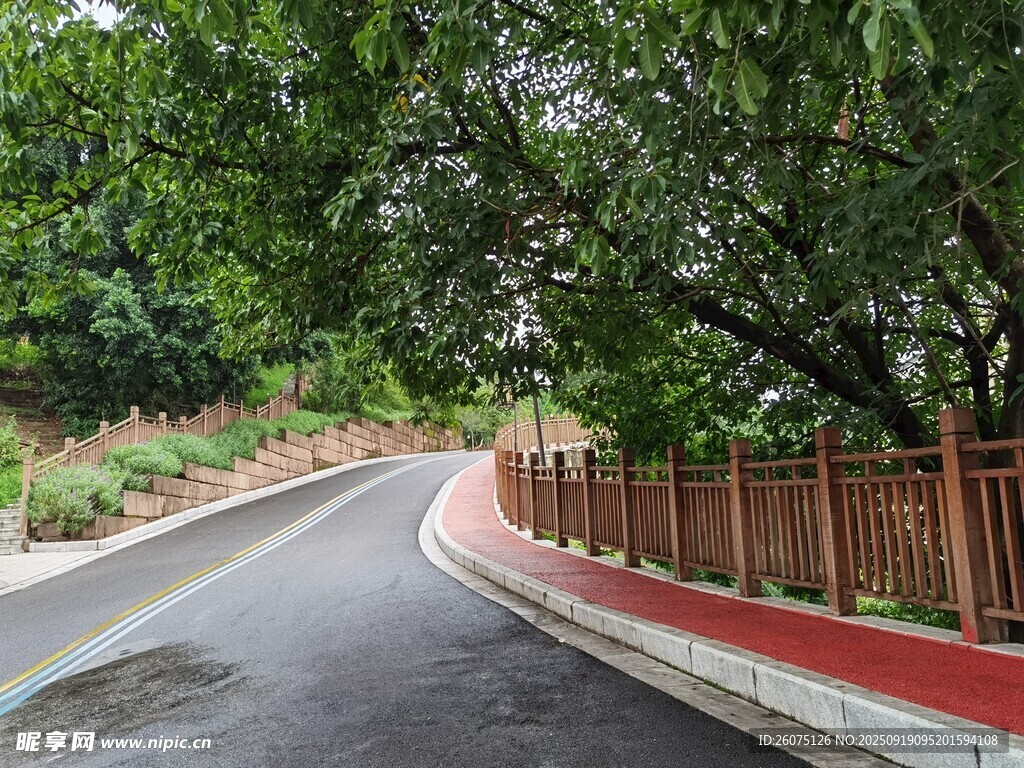蜿蜒林蔭路靜謐好風(fēng)光