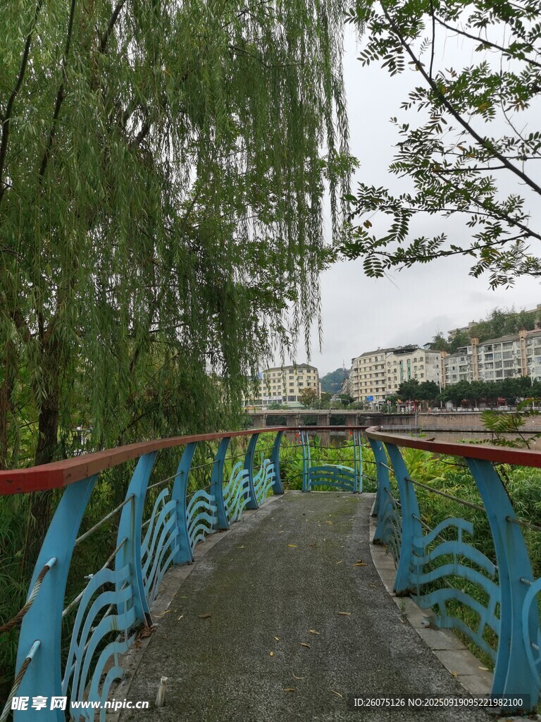 河畔藍橋旁的蔥郁綠樹