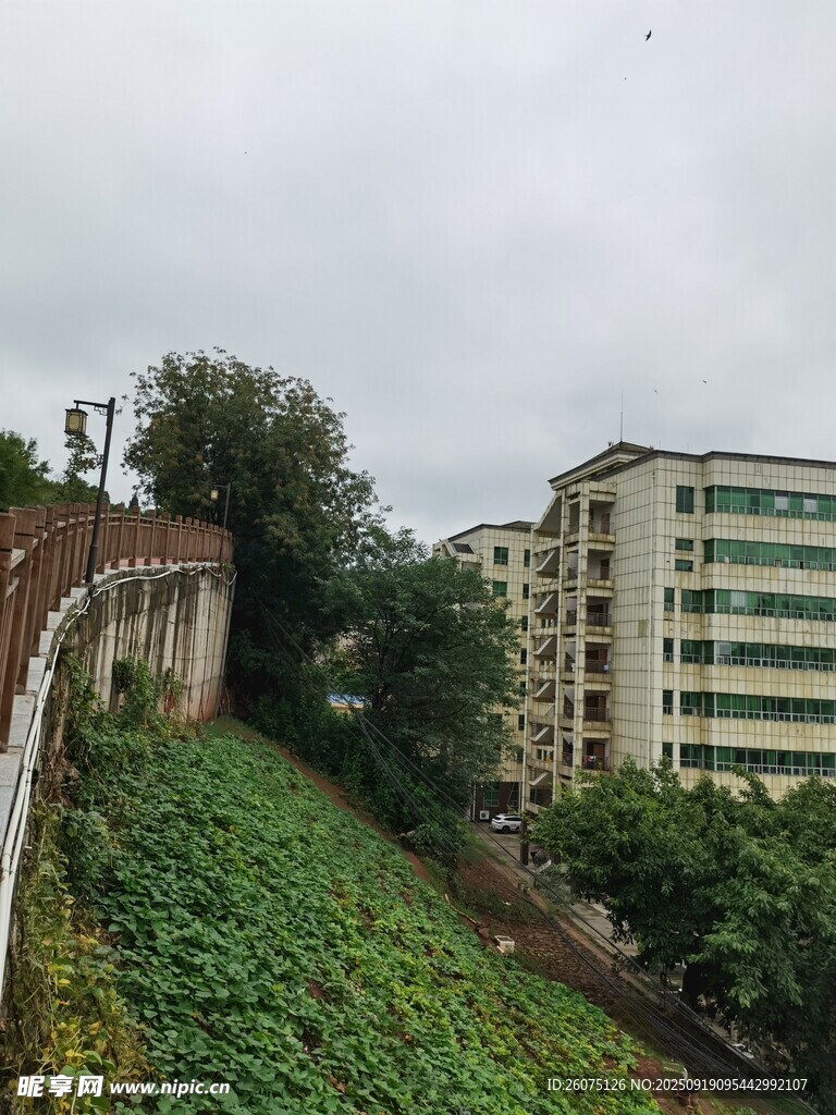 城市邊的綠植與建筑景觀