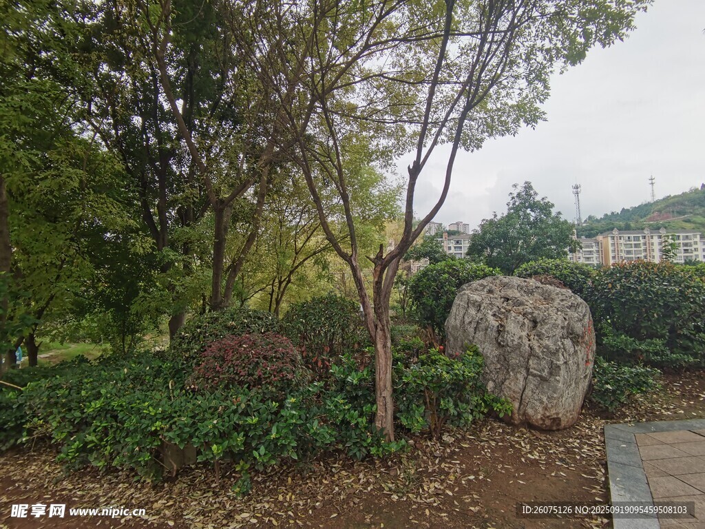 園林景觀中的石頭與綠植
