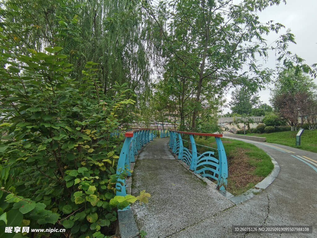 公園中的藍色弧形景觀橋