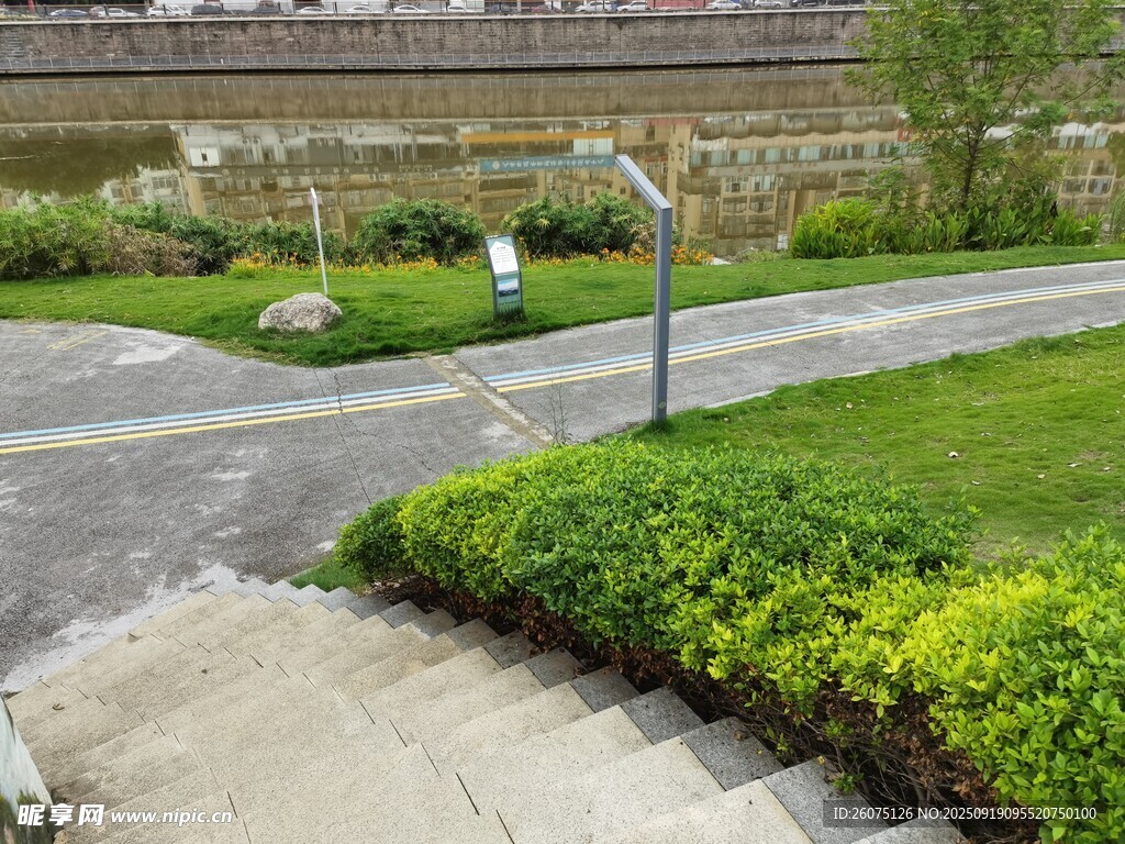 城市道路旁的綠植景觀