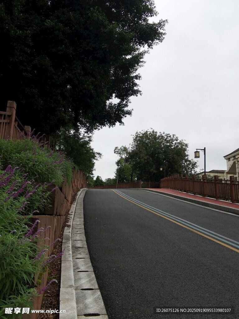 蜿蜒公路旁的綠植景觀