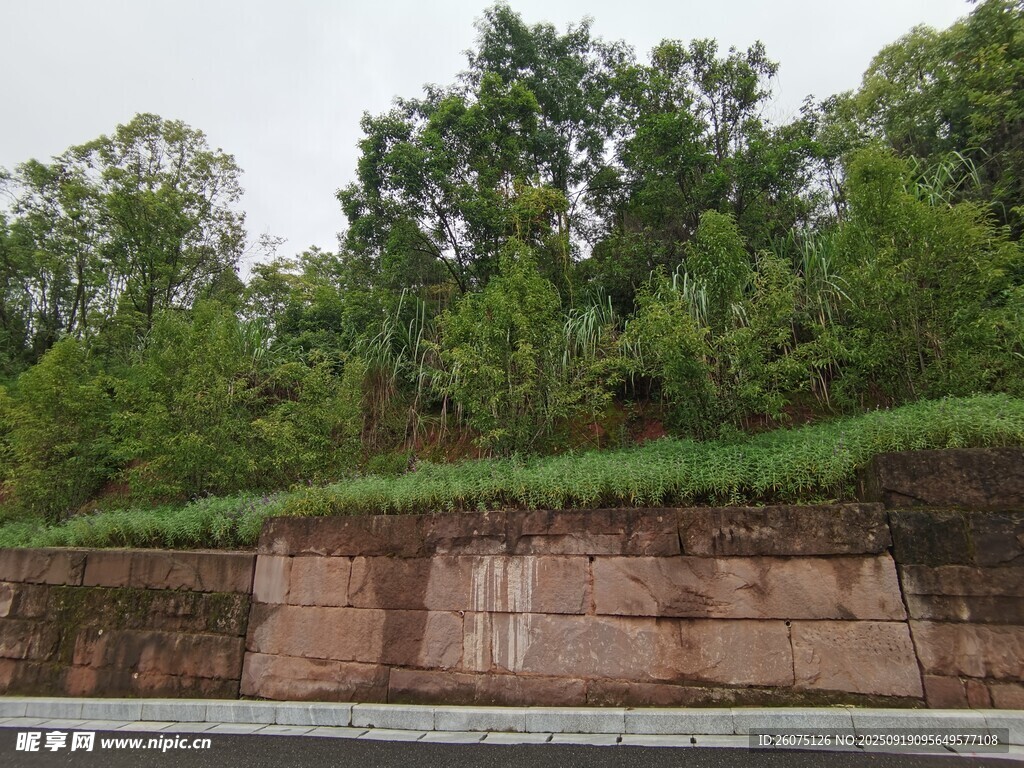 河岸綠植覆蓋的石砌堤岸
