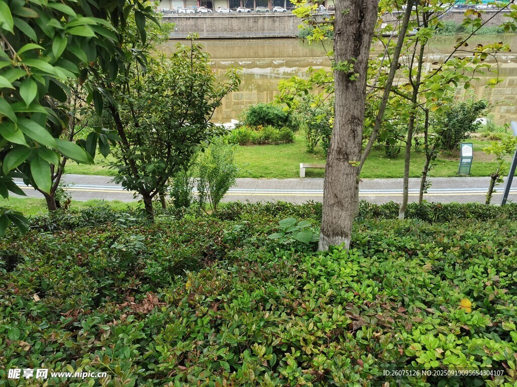 綠意盎然的城市園林景觀