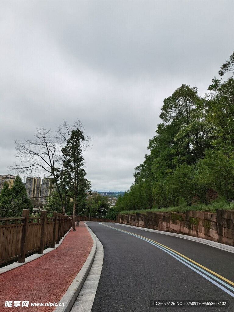 蜿蜒公路旁的蔥郁景致