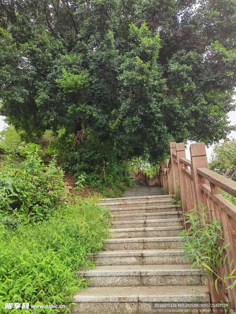 林間石階小徑