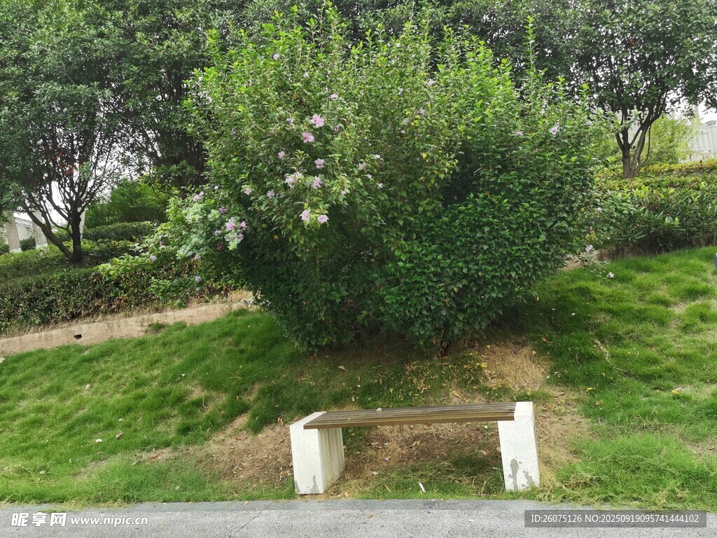 路邊綠植與白色柱體景觀