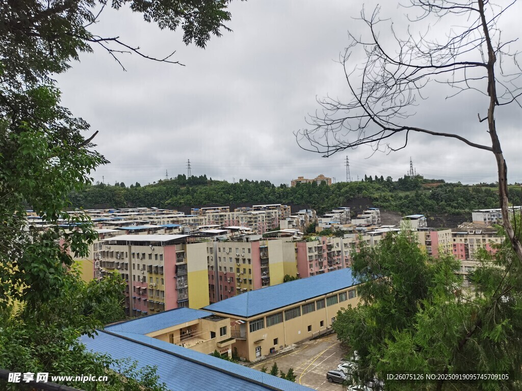 俯瞰多彩建筑群與綠樹