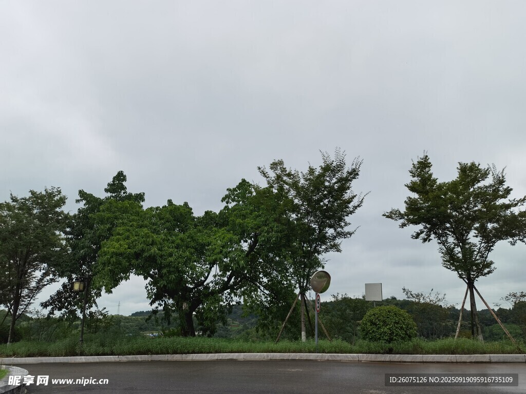 陰天的路邊綠樹景觀