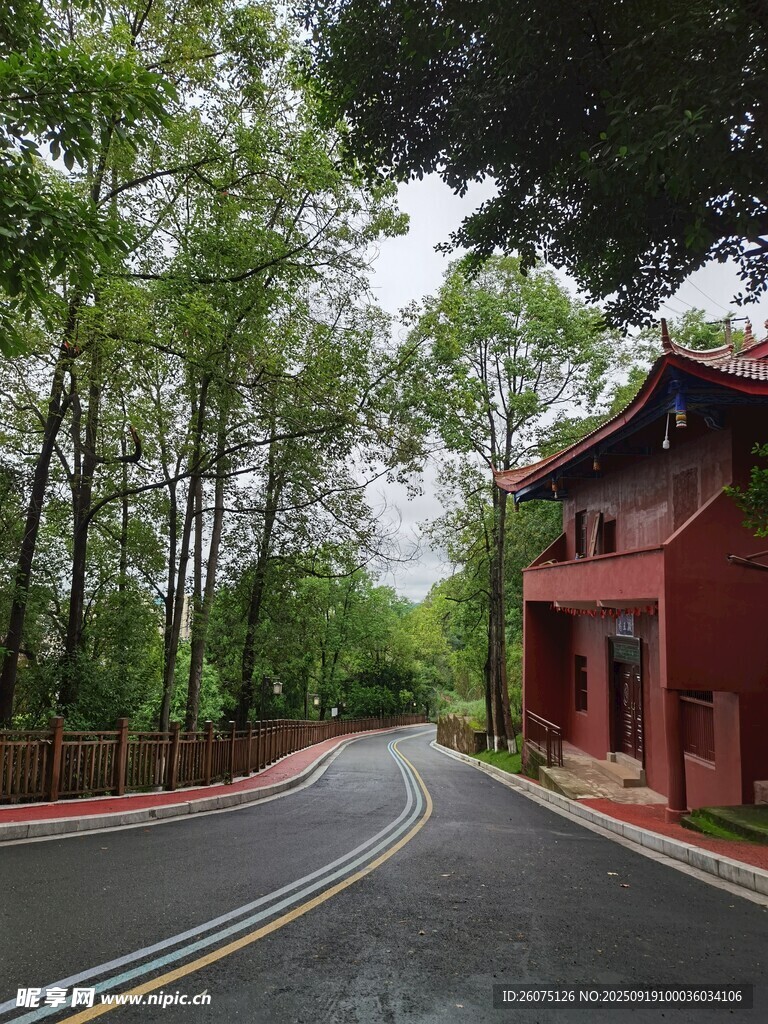 山林間的紅屋與蜿蜒公路