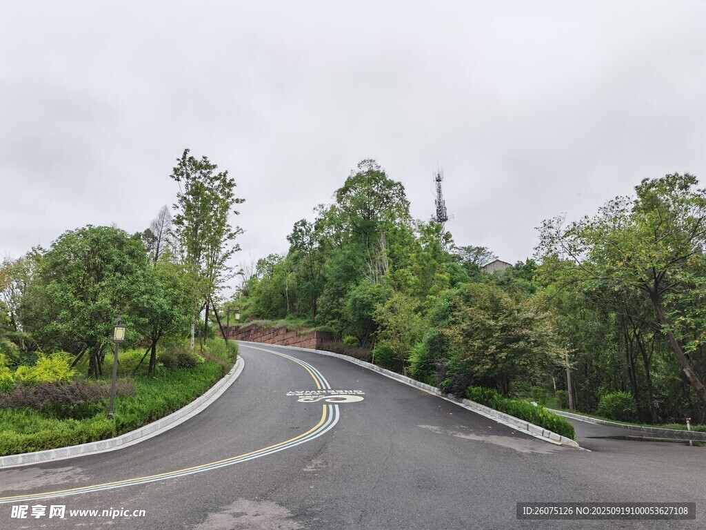 蜿蜒公路旁綠意盎然