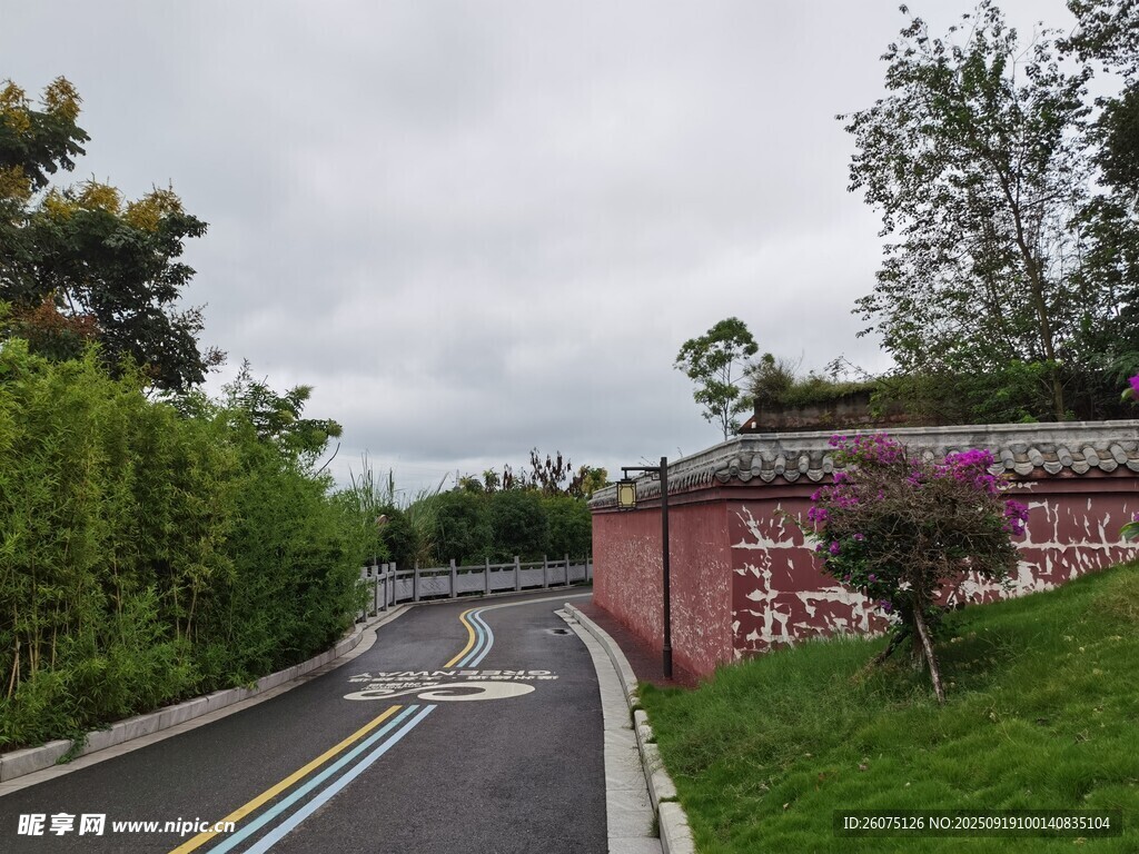 蜿蜒公路旁的綠植與建筑